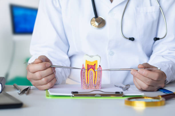 Best After-Hours Dental Trauma Care in Hicksville, OH